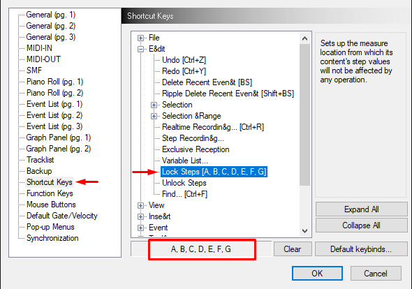 domino shortcut keys settings